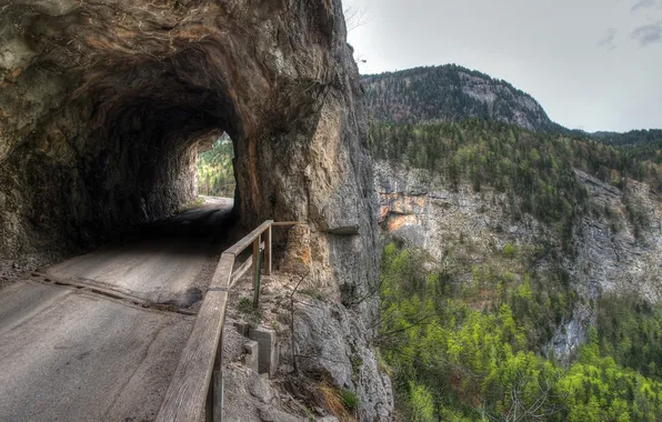 Picture the sky, trees, mountains, nature, rock, the tunnel