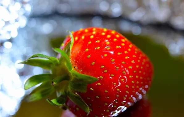 Macro, red, berries, strawberry