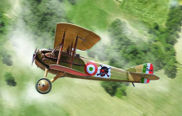 Picture fighter, Italy, biplane, Gianluca Capaldo, World War I, SPAD S.XII