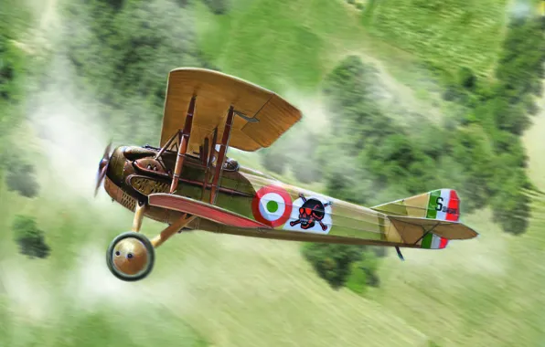 Fighter, Italy, biplane, Gianluca Capaldo, World War I, SPAD S.XII