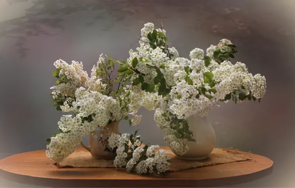 Picture flowers, spring, still life, Spiraea