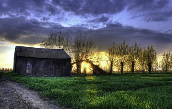 Picture field, landscape, sunset, house