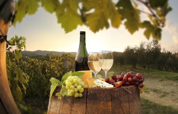 Wine, cheese, grapes, barrel