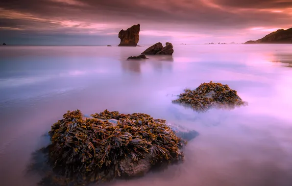 Sea, landscape, sunset, rocks
