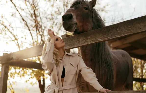 Girl, horse, horse, blonde, The fence