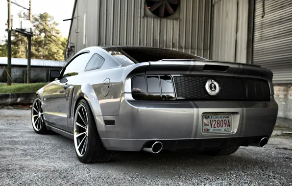 Auto, grey, mustang, Mustang, ford, shelby, Ford, Shelby
