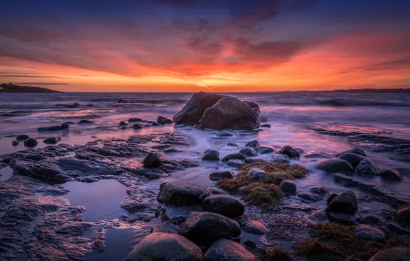 Sea, sunset, stones, coast