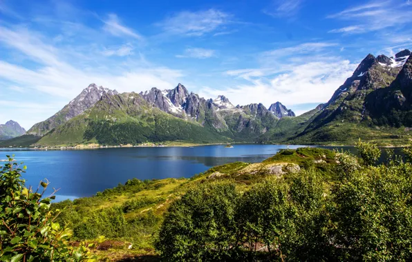 Greens, the sky, the sun, mountains, rocks, Norway, Bay, the bushes