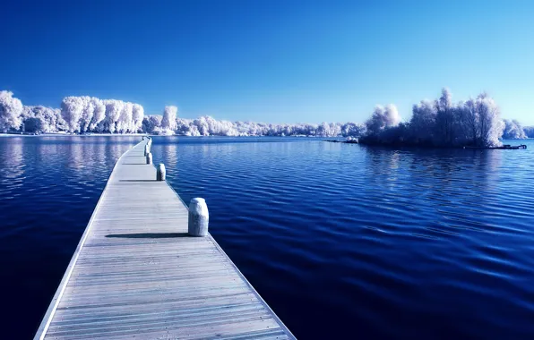 Winter, forest, snow, lake, the bridge