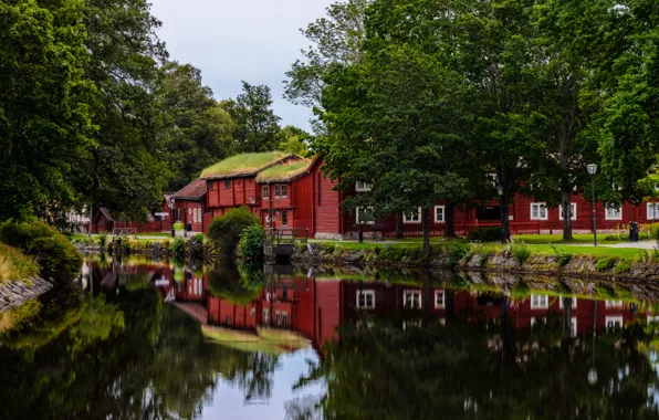 Summer, pond, Nature, summer, nature, cottage, cottages, pond