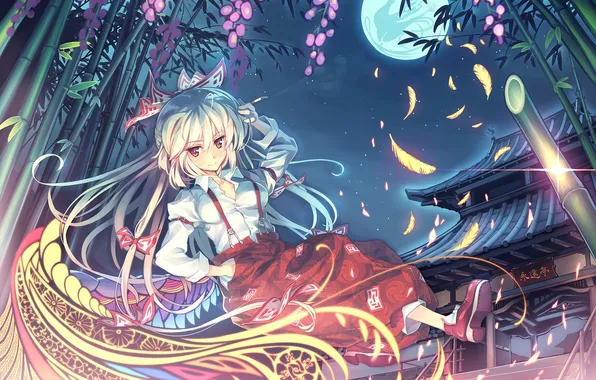 Picture look, girl, night, smile, magic, feathers, bamboo, touhou