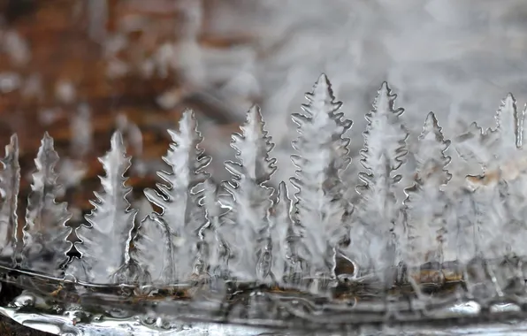 Picture nature, ice, form