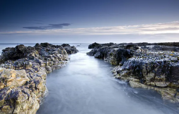 The sky, clouds, the ocean, rocks, morning