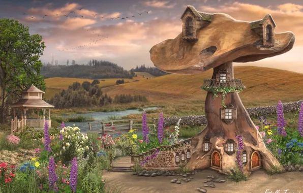 Field, flowers, river, mushrooms, home, gazebo