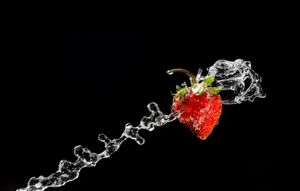 Picture water, strawberry, quality