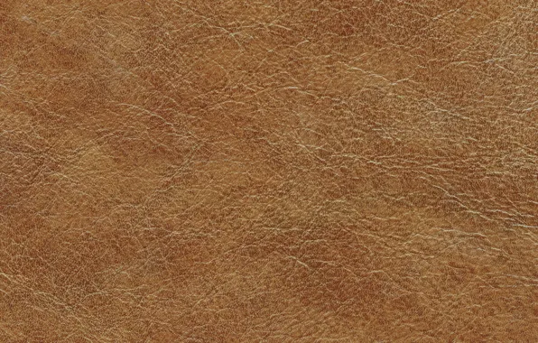 Picture leather, texture, leather, skin