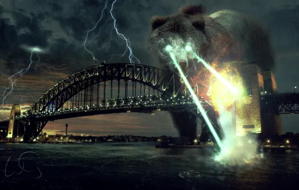 Bear, Fantasy, Fiction