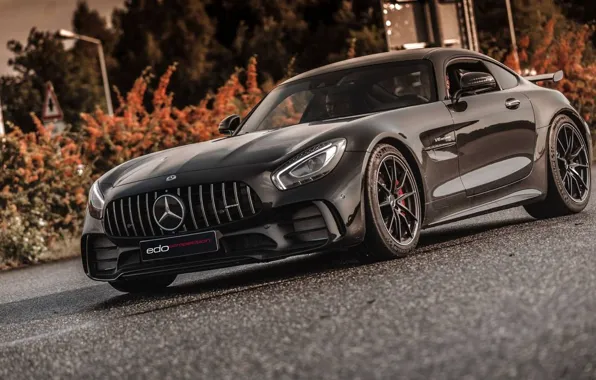 Road, shrub, Edo Competition, Mercedes-AMG GT R