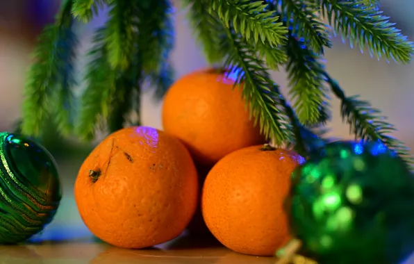 Balls, branches, holiday, Christmas, New year, needles, Christmas decorations, tangerines