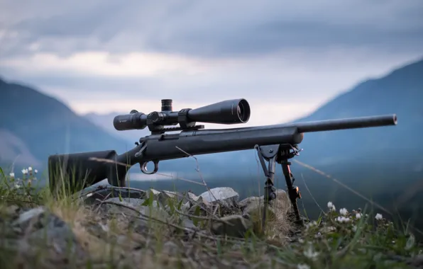 Picture optics, rifle, sniper, fry, Remington 700