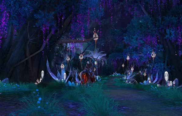 Forest, trail, plants, Tera
