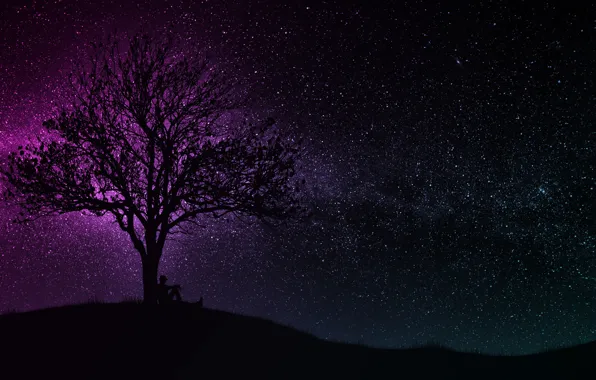 Picture dark, wallpaper, black, art, tree, man, hill, purple