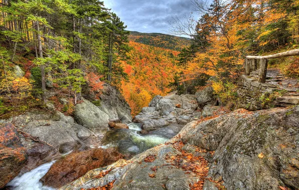 Autumn, forest, landscape, nature, stones, photo, HDR, USA