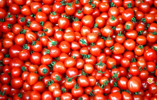 Picture red, vegetables, tomatoes, tomatoes