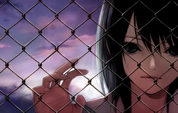 Picture the fence, Girl, the evening, black hair, chain link fencing