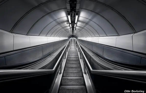 Ladder, railings, escalator, black and white photo