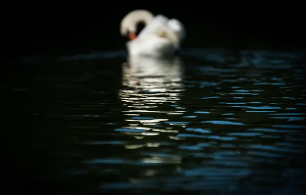 Picture wave, water, macro, surface, glare, reflection, shadow, ruffle