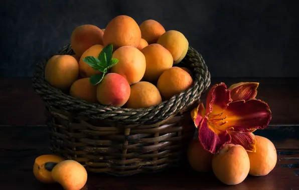 Flower, the dark background, table, Board, harvest, fruit, still life, basket