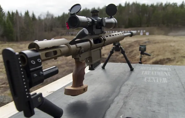 Weapons, background, rifle