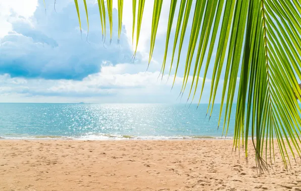 Sand, sea, beach, summer, the sky, palm trees, summer, beach