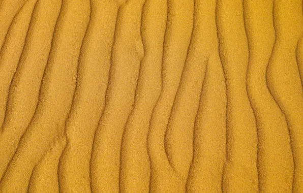 Picture sand, line, desert, texture
