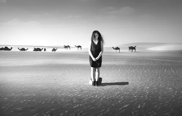 Picture girl, loneliness, desert, art, camels, Black and White, Silent Desert, lika