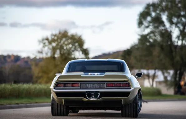 Tree, Road, Chevrolet, 1969, Camaro, Chevrolet Camaro, Muscle car, Classic car