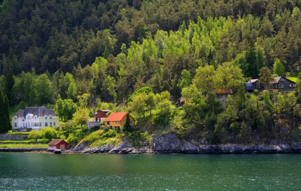 Picture house, lake, Town