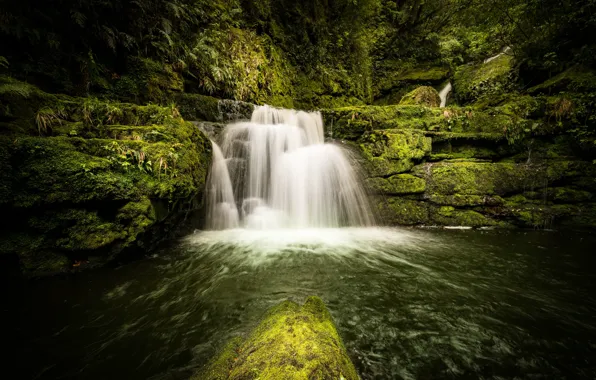 Forest, river, stones, waterfall, moss, New Zealand, cascade, New Zealand