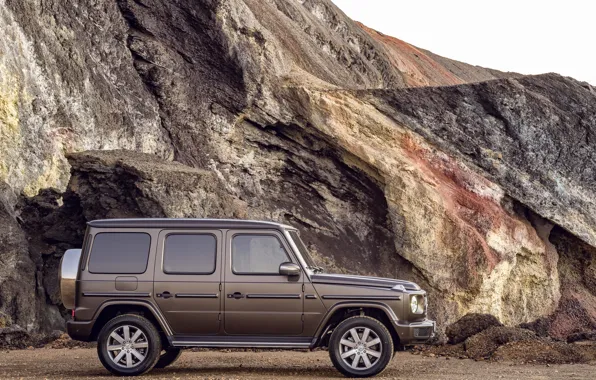 Mercedes-Benz, profile, brown, slice, breed, 2018, G-Class