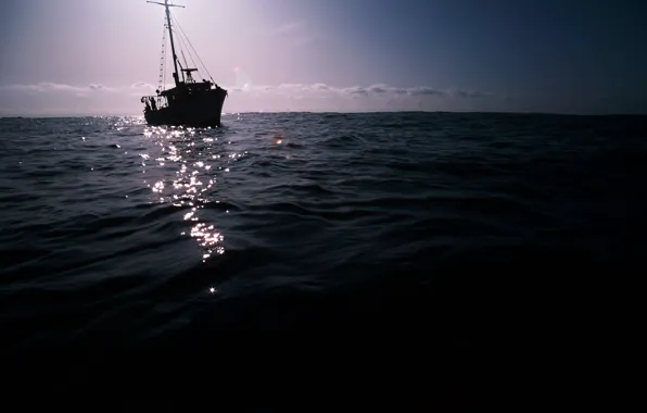 Picture sea, the sky, water, landscape, boat, swimming