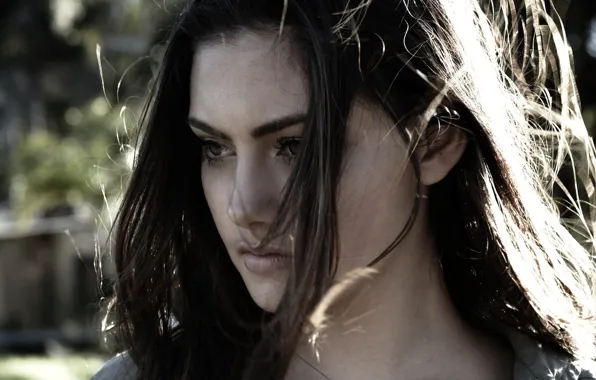 Picture actress, brunette, Phoebe Tonkin