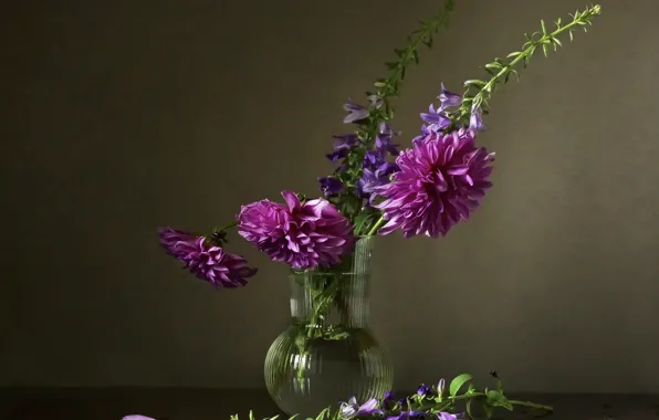 Flowers, table, wall, bouquet, pink, still life, bells, lilac