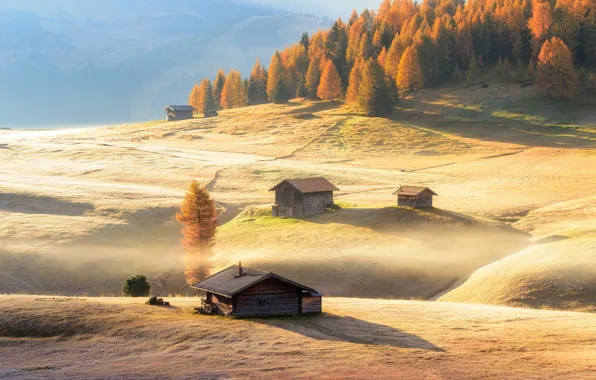 Autumn, forest, mountains, fog, field, slope, Alps, haze