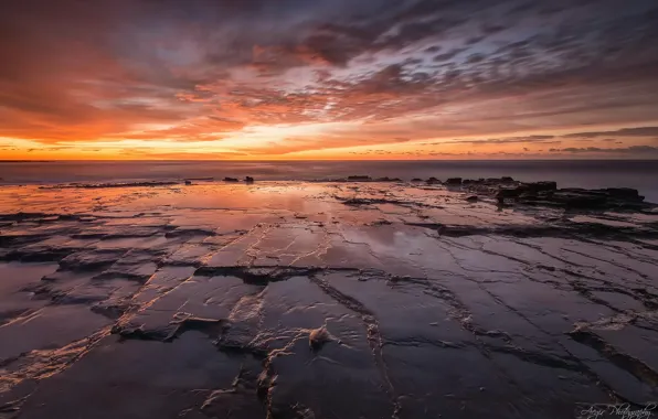 Beach, water, stones, rocks, shore, morning, Australia, New South Wales