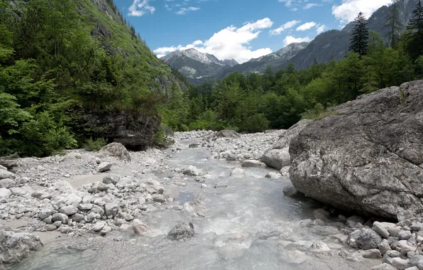 Forest, mountains, river, stones, stream