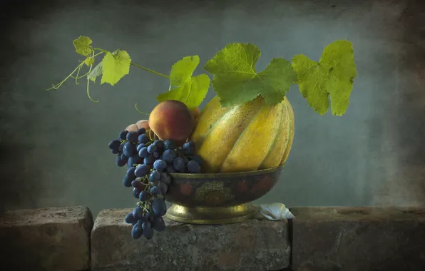 Shell, grapes, fruit, peach, melon