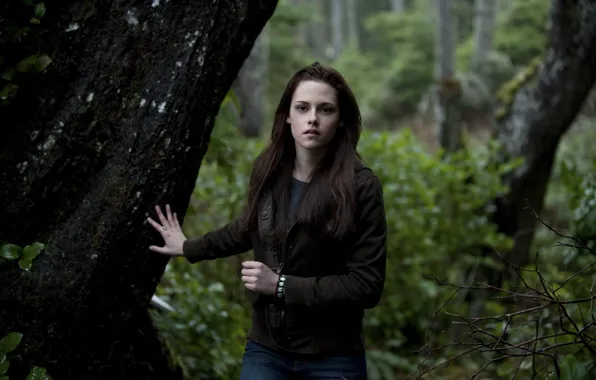 Picture forest, movie, actress, Kristen Stewart, twilight