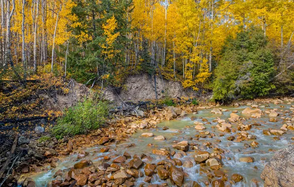 Picture autumn, forest, stones, river