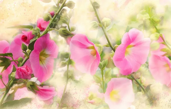 Flowers, figure, graphics, treatment, picture, garden, art, pink